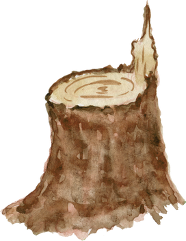 Watercolor brown tree stump travel clipart